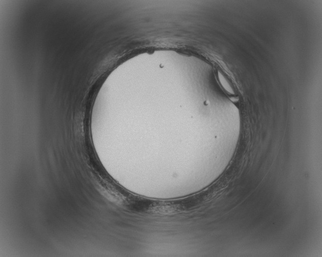 X0000082150299200702092158