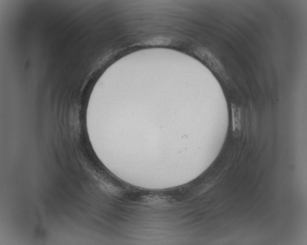 X0000082150300200702092158