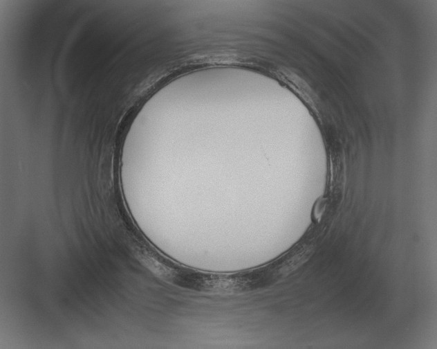 X0000082150301200702092158