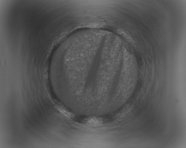 X0000082150303200702092158