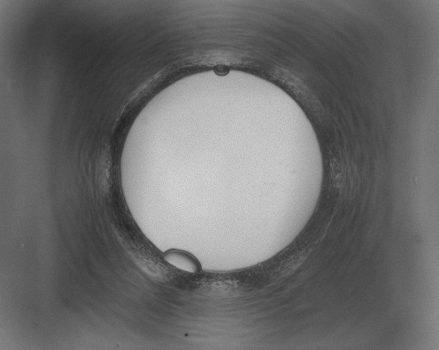 X0000082150304200702092158