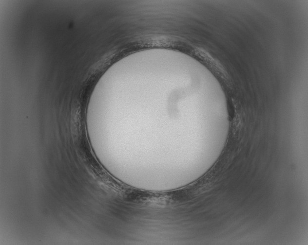 X0000082150306200702092158