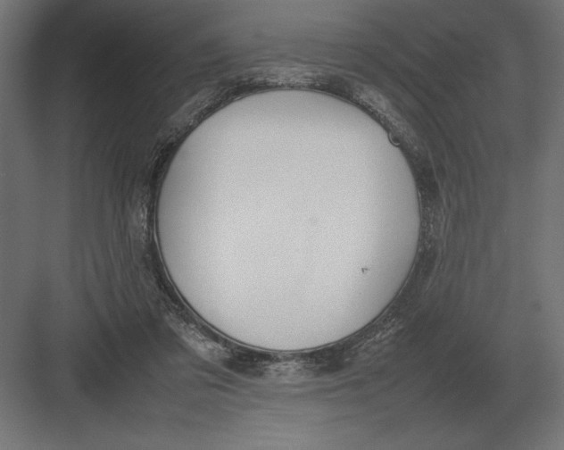 X0000082150309200702092158