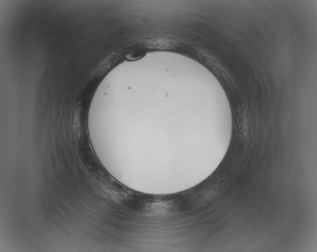 X0000082150312200702092158