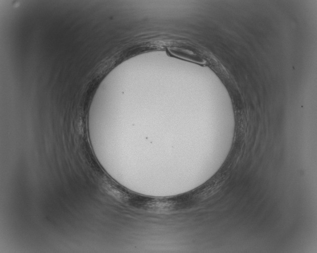 X0000082150313200702092158