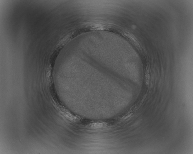 X0000082150314200702092158