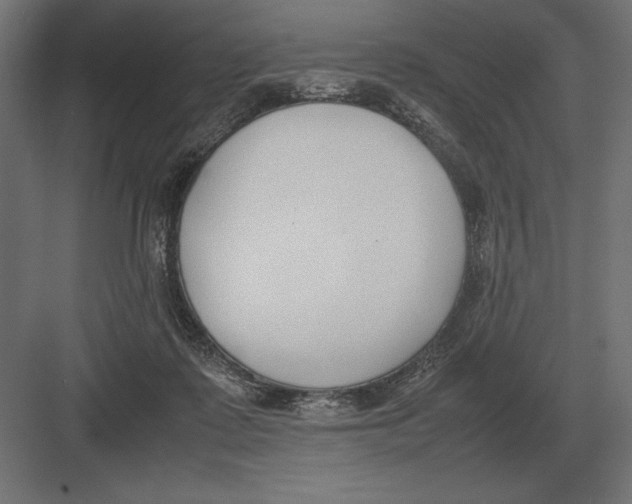 X0000082150315200702092158