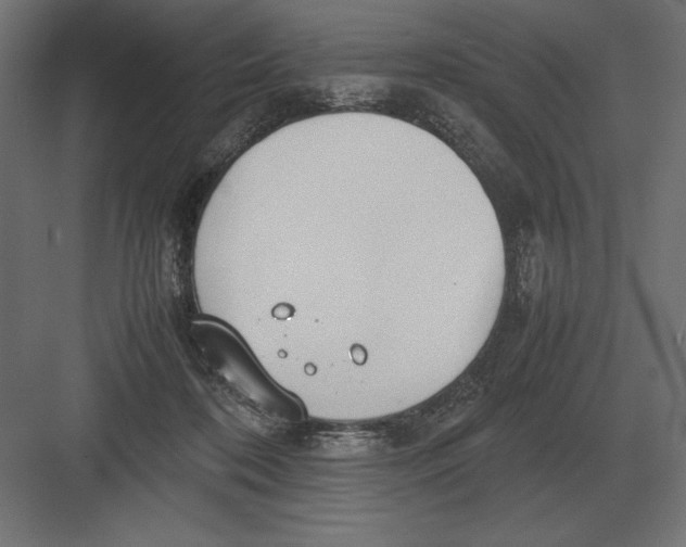 X0000082150316200702092158