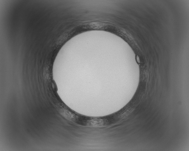 X0000082150317200702092158