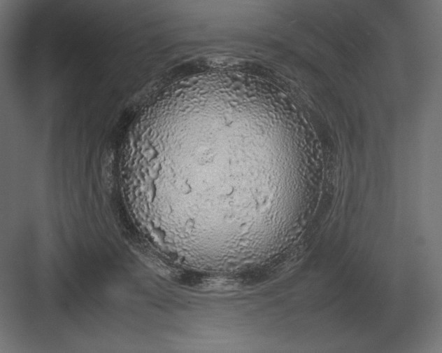 X0000082150319200702092158