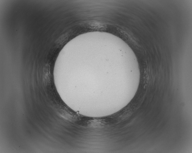 X0000082150320200702092158