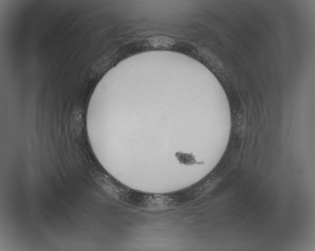 X0000082150321200702092158