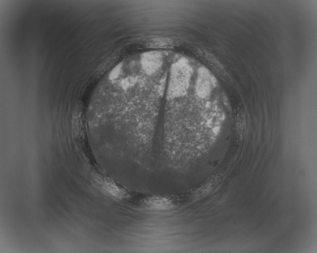 X0000082150322200702092158