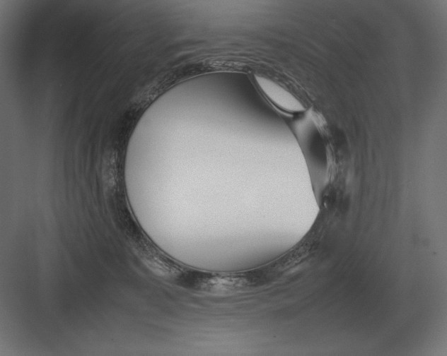 X0000082150323200702092158