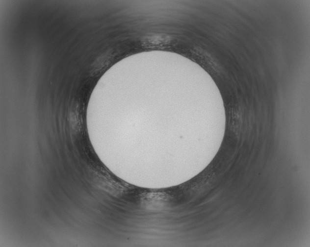 X0000082150324200702092157