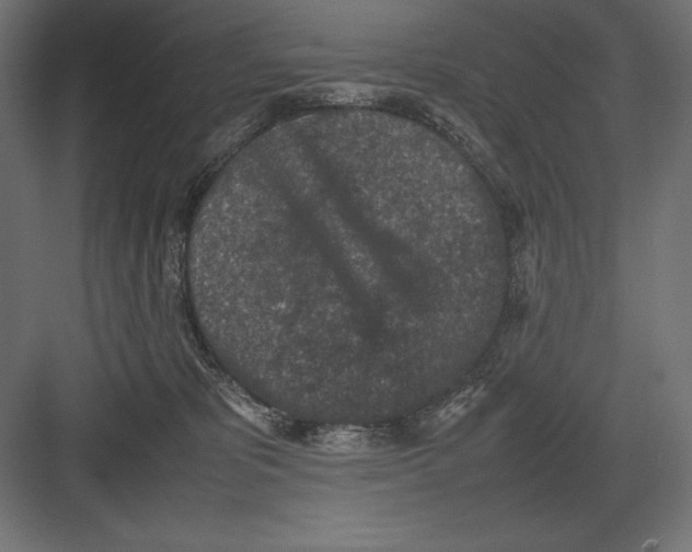 X0000082150325200702092157