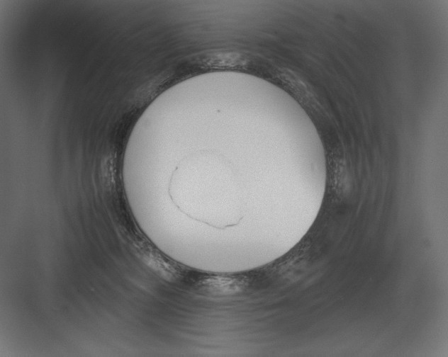 X0000082150326200702092157