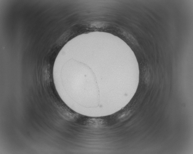 X0000082150328200702092157