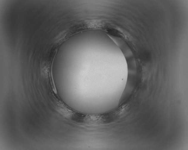 X0000082150329200702092157