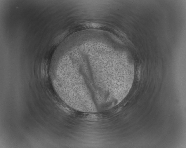 X0000082150330200702092157