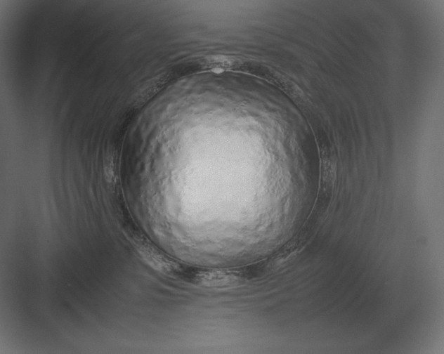 X0000082150331200702092157