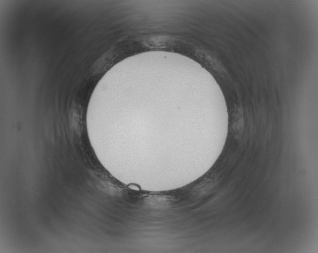 X0000082150332200702092157