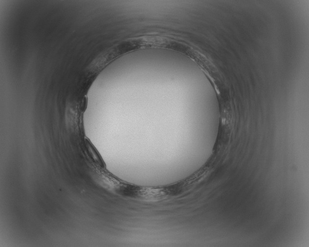 X0000082150333200702092157