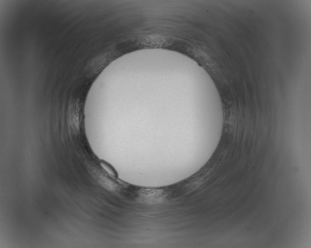 X0000082150334200702092157