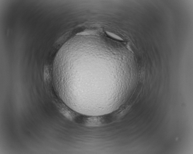 X0000082150335200702092157