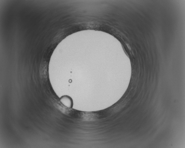 X0000082150336200702092157