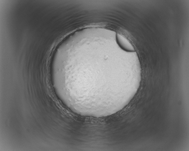 X0000082150337200702092156