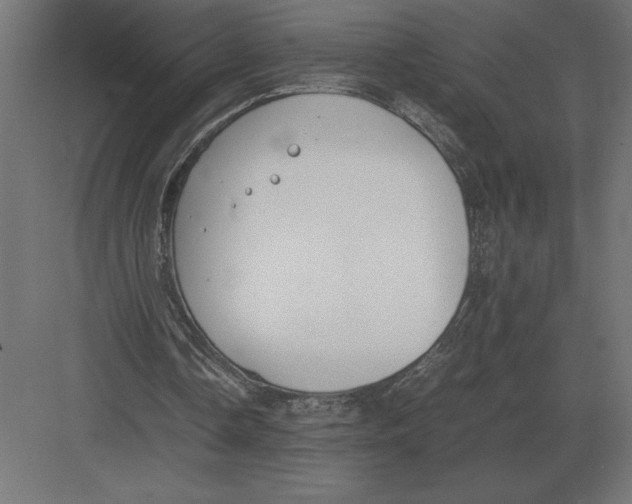 X0000082150338200702092156