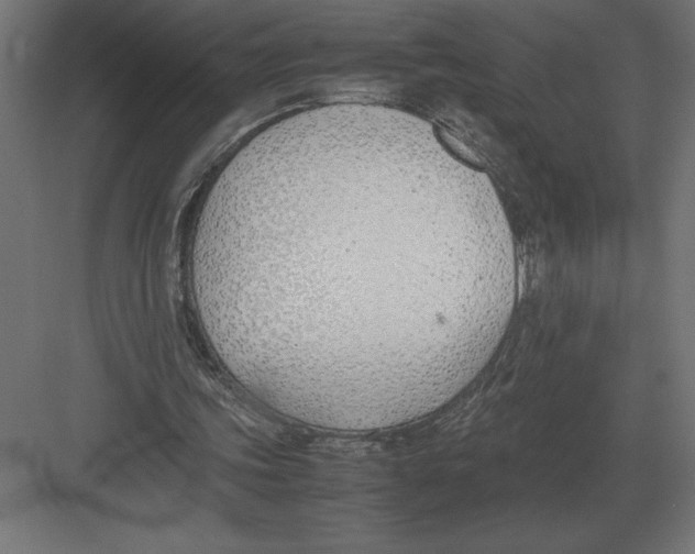 X0000082150339200702092157