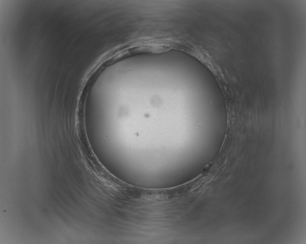 X0000082150340200702092157