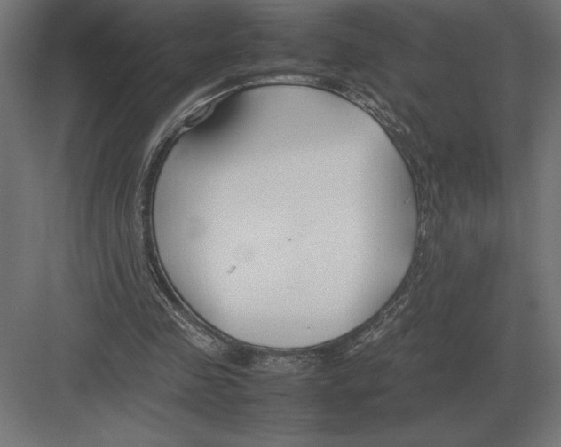 X0000082150341200702092157