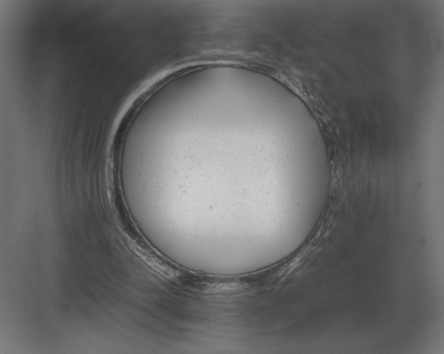 X0000082150342200702092157