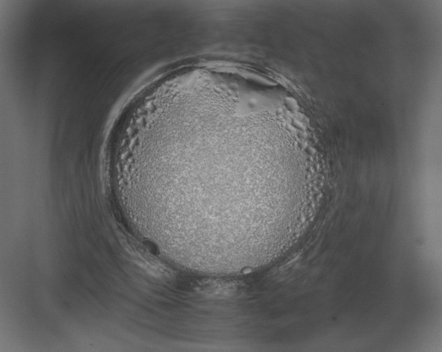 X0000082150343200702092157