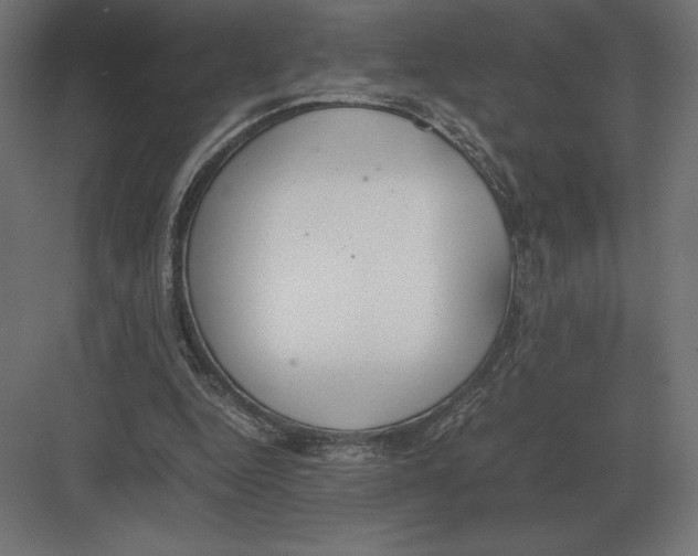 X0000082150344200702092157