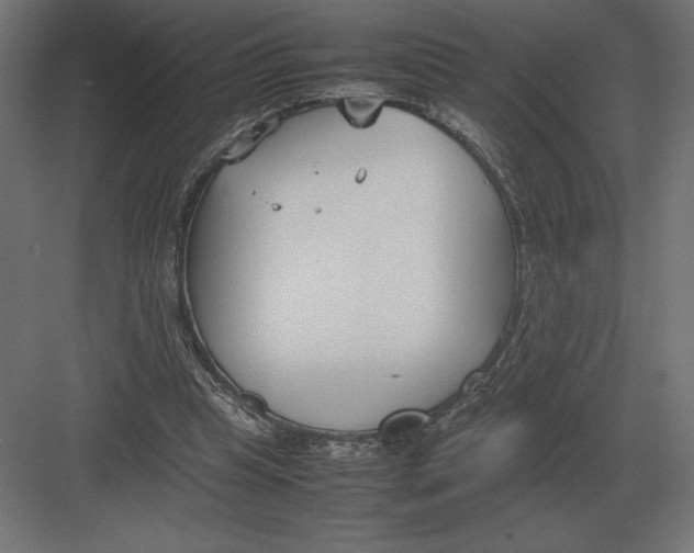 X0000082150345200702092157