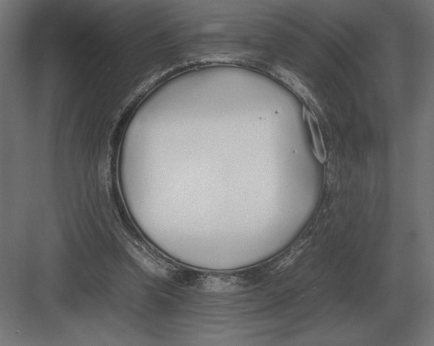 X0000082150346200702092157