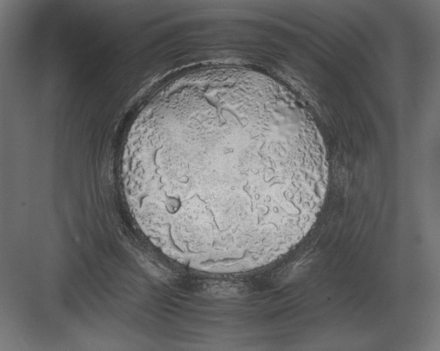 X0000082150347200702092157