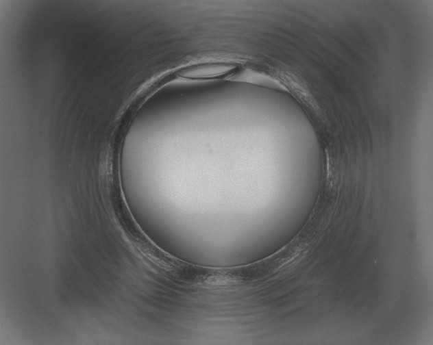 X0000082150348200702092157