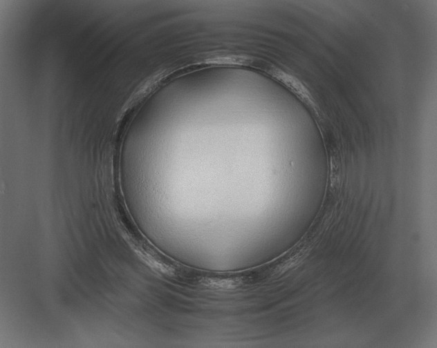 X0000082150349200702092157