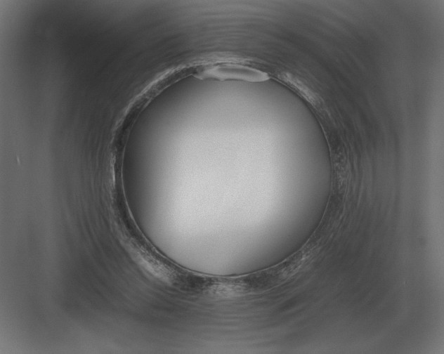 X0000082150350200702092157