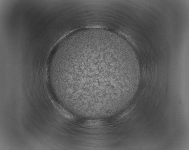 X0000082150351200702092157