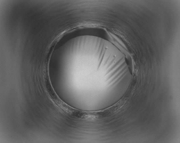 X0000082150352200702092157