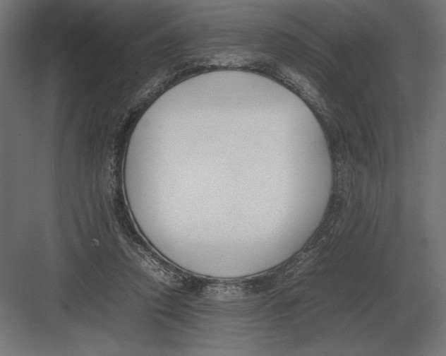 X0000082150354200702092157