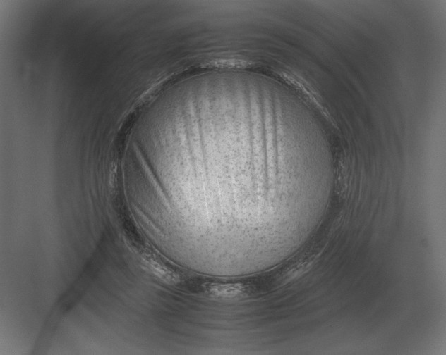 X0000082150355200702092157