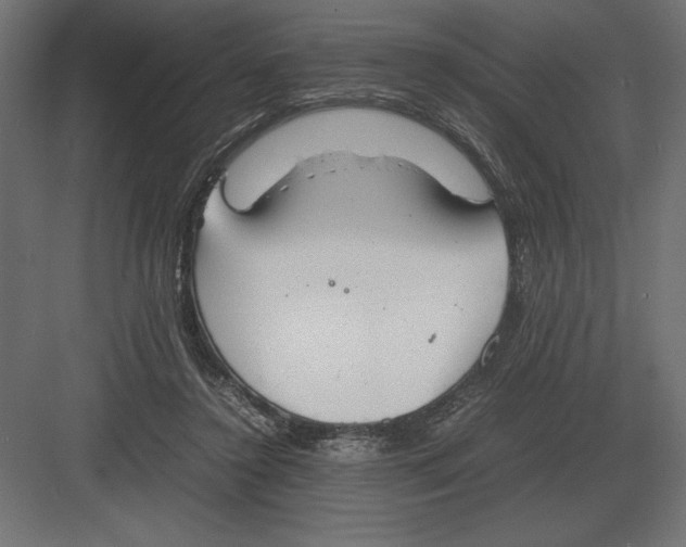 X0000082150356200702092157