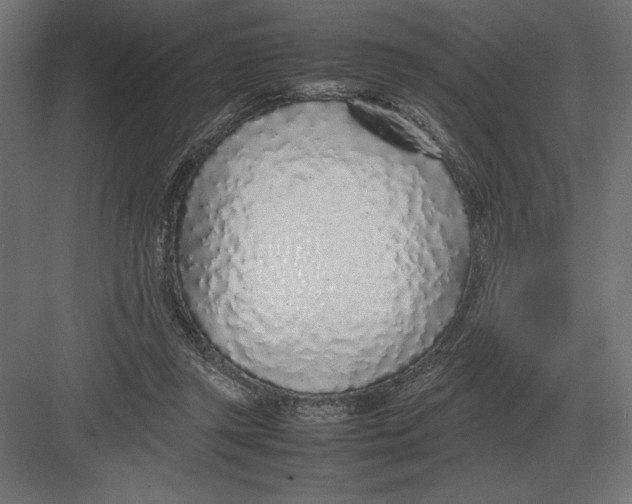 X0000082150357200702092157